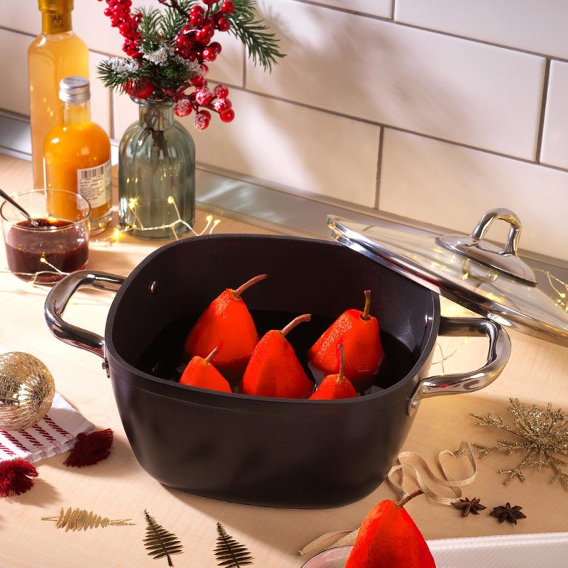 SCHAFER GASTRONOMIE MASTER GRANİT DERİN TENCERE 20 CM