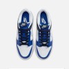 NIKE DUNK LOW ERKEK SPOR AYAKKABI FQ8826 100