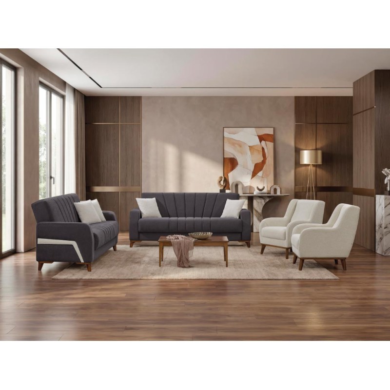 ALDİS KOLTUK TAKIMI