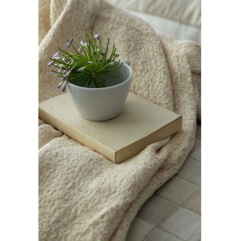 APRICITAS 8 PARÇA TIMELESS PRIME SET