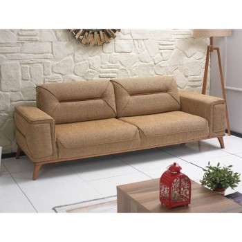 ANEMON KOLTUK TAKIMI