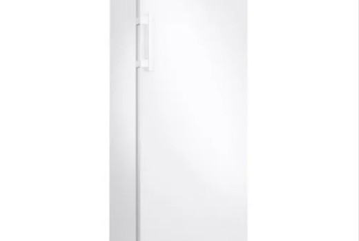 SAMSUNG DİKEY DERİN DONDURUCU RZ20BG3000WW