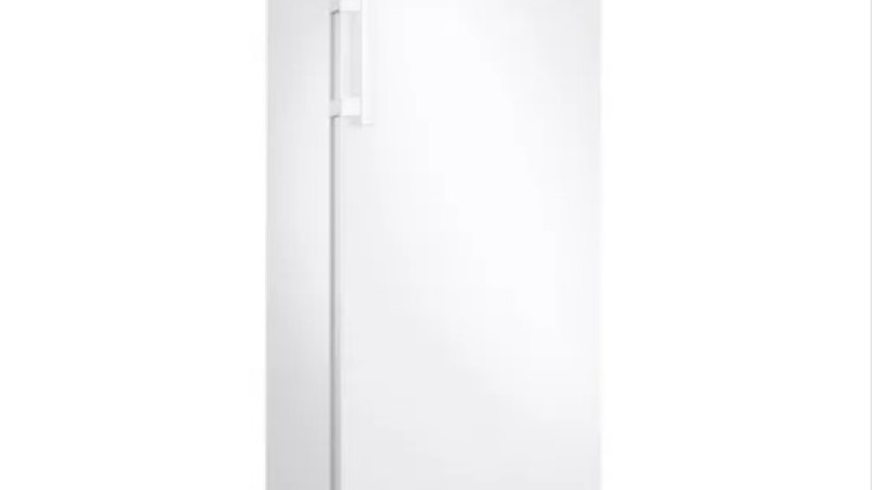 SAMSUNG DİKEY DERİN DONDURUCU RZ20BG3000WW